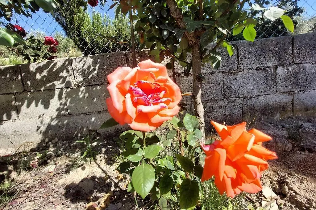 La Huerta Del Castillo Con Su Caz De Agua - Enjoy Life & Relax Villa Castillo de Locubin Holiday home