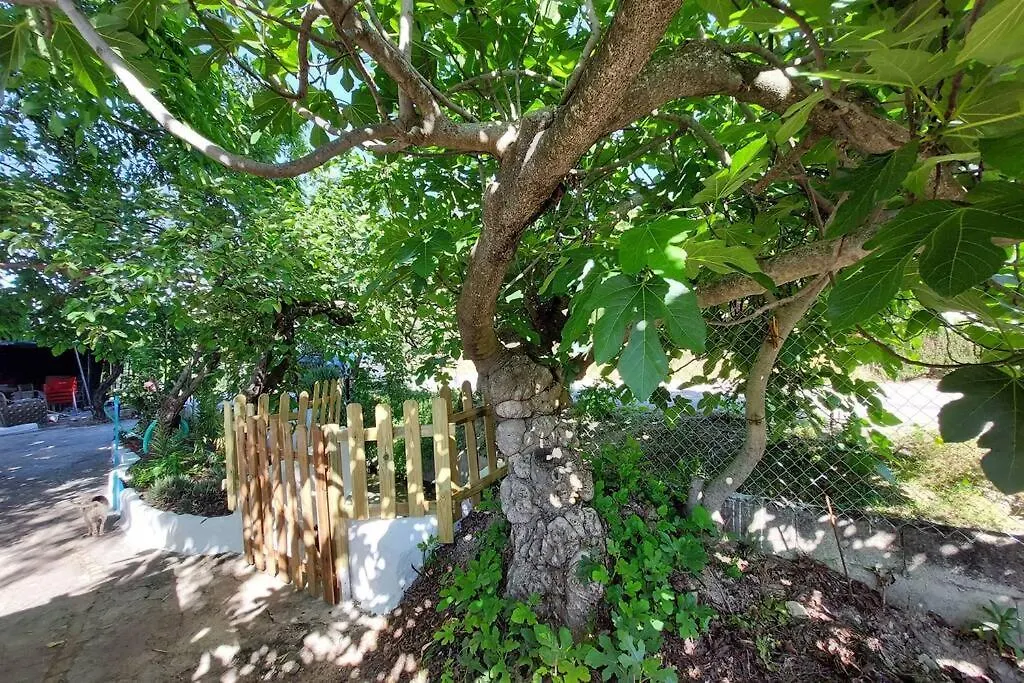 Holiday home La Huerta Del Castillo Con Su Caz De Agua - Enjoy Life & Relax Castillo de Locubin
